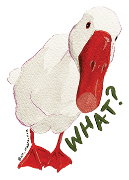 A sticker of a duck with the word 'what?' that Anna made for a creative challenge in 2023.