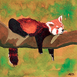 A sticker of a red panda sleeping that Anna made for her patrons in November 2023.